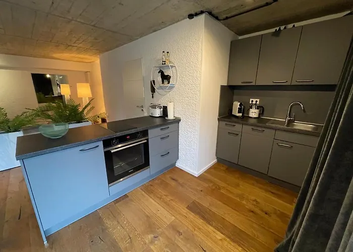 Lejlighed Stylishes & Neues Premium-loft Tönisvorst